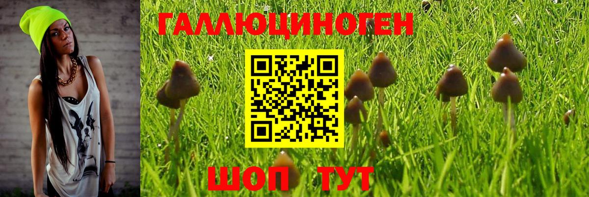 Красногорск  Галлюциногенные грибы GOLDEN TEACHER  Галлюциногенные грибы мухоморы  Вход с VPN 